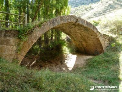 Hoces del Río Duratón - Sepúlveda;gredos rutas asociaciones senderismo rios y senderos